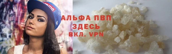 амф Осинники