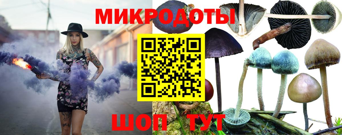 Псилоцибиновые грибы Psilocybe  Вход с VPN  Псилоцибиновые грибы ЛСД  Семилуки 