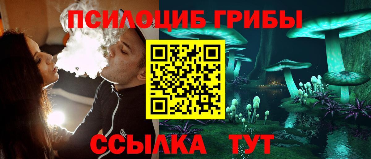 Галлюциногенные грибы Psilocybe Семилуки