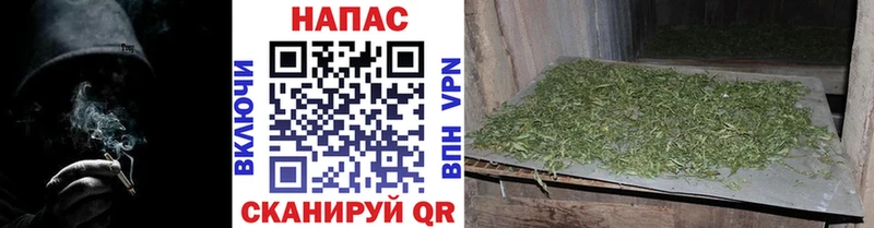 shop какой сайт  Семилуки  Каннабис марихуана 